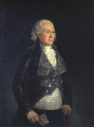 Francisco Goya Don pedro,duque de osuna Germany oil painting artist